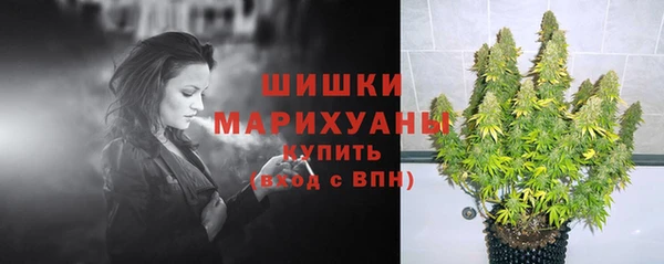 спиды Россошь